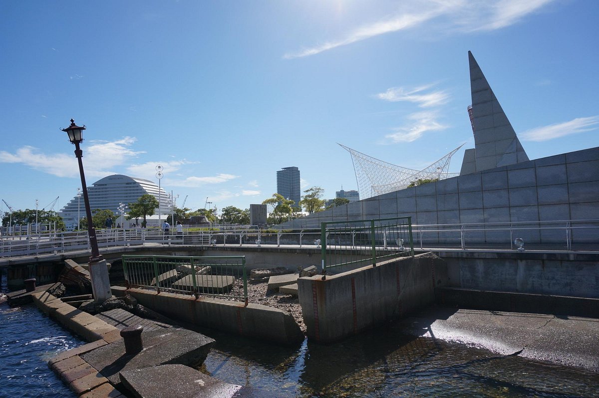 🌳 동유원지 (히가시유엔치 공원) 이미지 3